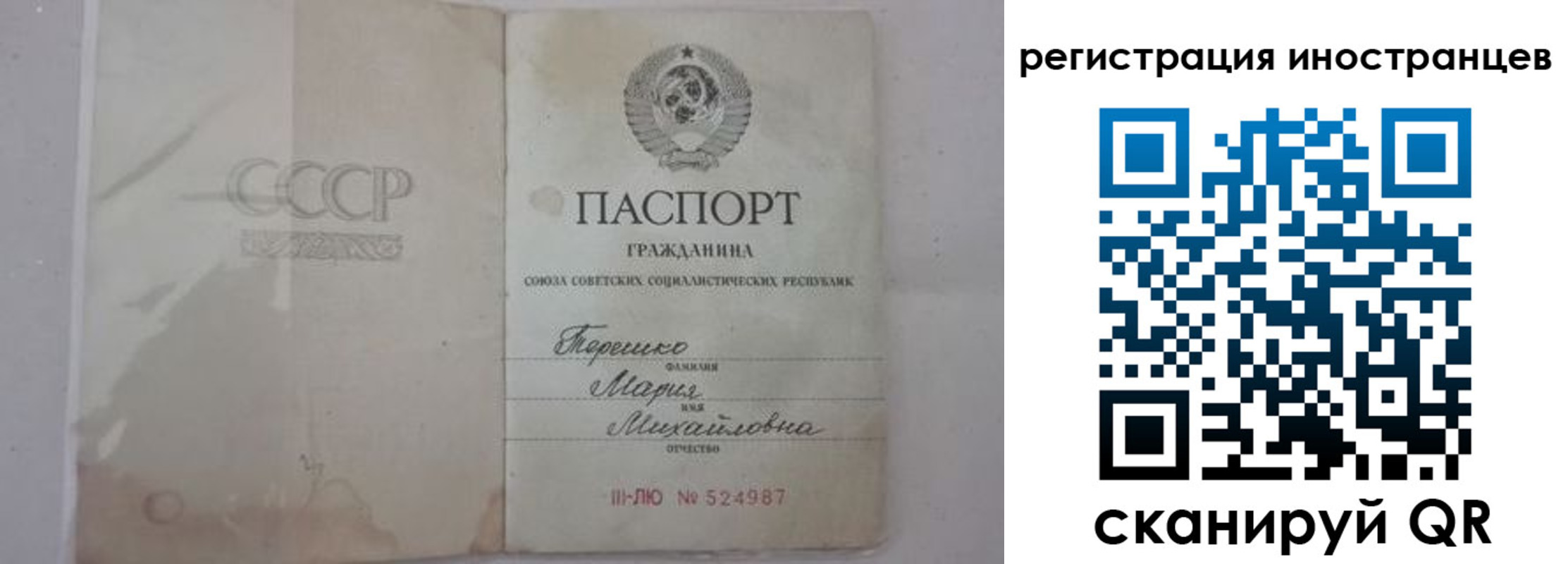 прописка паспорт в Светлом